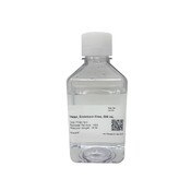 Water, Endotoxin-Free, 500mL